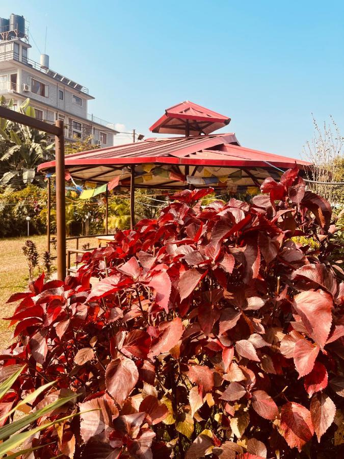Paradise Mount Resort بوكْرا المظهر الخارجي الصورة