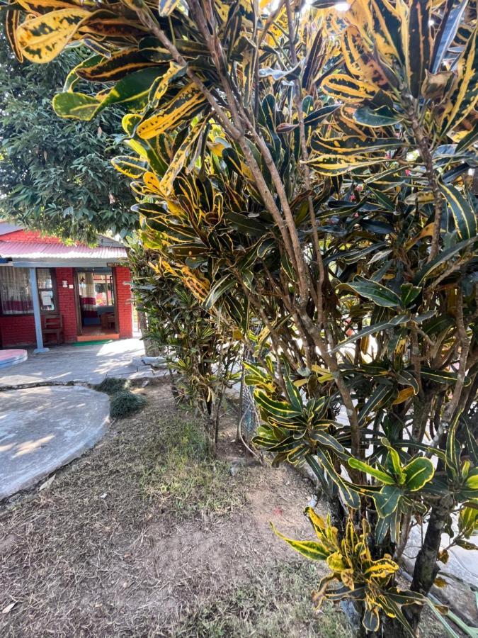 Paradise Mount Resort بوكْرا المظهر الخارجي الصورة